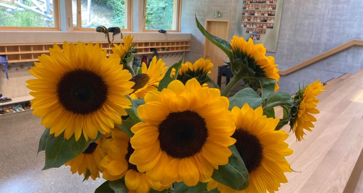 schulbeginn-schuljar-2024-25